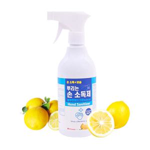 퍼슨 뿌리는 손소독제 블루엔핸드크린액 500ml