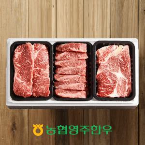 [농협영주한우]1+ 로스특수부위 모듬 한판 5호 / 총 600g (등심,채끝,특수부위)