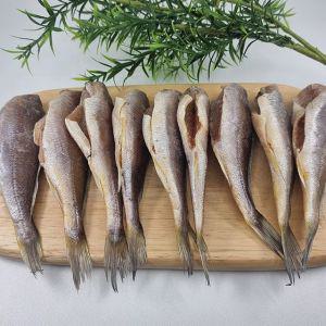 국내산 완손질 두절조기 500g