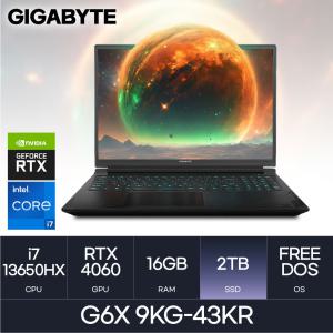 GIGABYTE 기가바이트 G6X 9KG-43KR i7-13620H/RTX4060 (D5-16GB/2TB) HMC