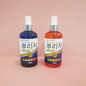 뿌리는 살균 소독수 알콜 고강도 뿌리지 소독제 4L