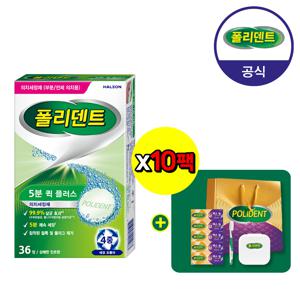 폴리덴트 5분퀵 의치세정제 10팩+부착재견본5개+칫솔+보관함