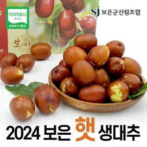 2024년 보은 햇 생대추 500g x 4팩 (총 2kg)