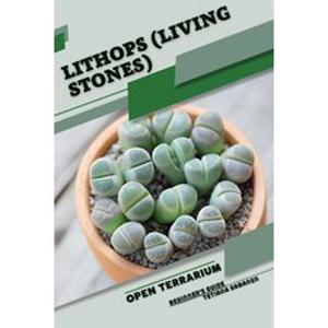 (영문도서) Lithops (Living Stones): Open terrarium Beginner's Guide Paperback, Independently Published, English, 9798857373934