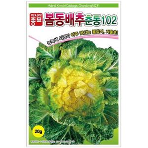 (아시아종묘) 월동배추씨앗종자 춘동102(20g)