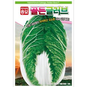 (아시아종묘) 배추씨앗종자 골든글러브 (100립)