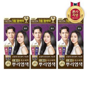 리엔 흑모비책 뿌리새치염색 크림 흑색 100g x 3