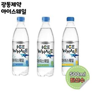 광동 아이스웨일 탄산수 플레인 500ml 40개