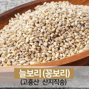 늘보리쌀 꽁보리 비빔밥 쌀 햅곡 5kg 고흥 산지직송