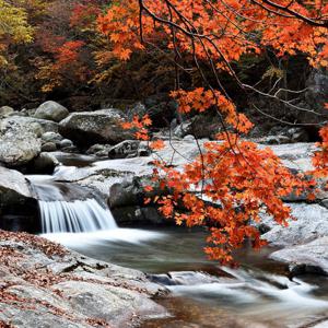 |남원|지리산 뱀사골 가을단풍_김병종미술관_광한루원_남원문화의달/국내여행/당일여행/국내여행패키지