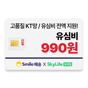 유심 알뜰유심 KT 스카이라이프 알뜰폰 NFC 유심 /본사직영