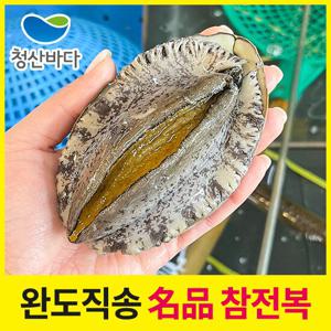 [청산바다] 완도직송 활전복 특대 1kg 8-9미