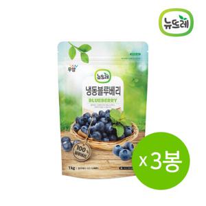 뉴뜨레 냉동과일 블루베리 페루 1kg 3봉 / 총 3kg