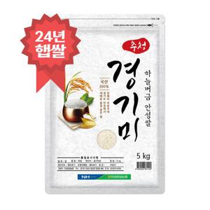 추청 경기미 안성쌀 5kg 양성농협 24년 햅쌀