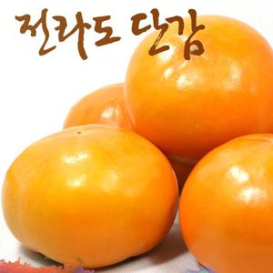 [가을애감] 전라도 차량단감 5kg (21-25과내외)