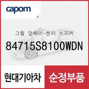 그릴-센터 스피커 (84715S8100WDN) 팰리세이드, 더 뉴 팰리세이드