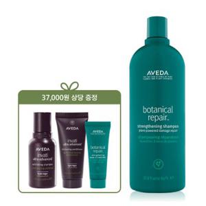 [11월] 보태니컬 리페어 리터 샴푸 +인바티 라이트 50ml &컨디 40ml &보태니컬리브인트리트25ml