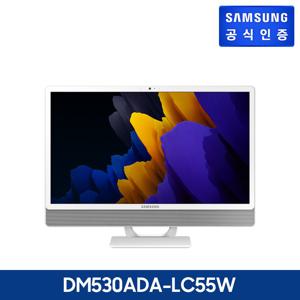 삼성전자 [중급] 삼성 데스크탑 일체형 DM530ADA-LC55W