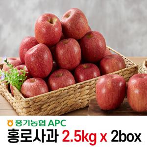 [풍기농협] 경북산 햇 홍로사과 5kg (2.5kgx2박스)