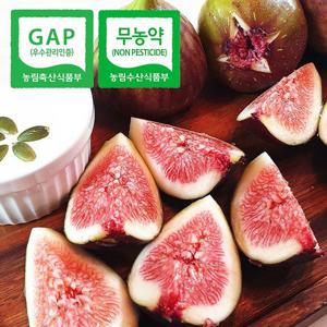 [무농약] GAP인증 당일수확 전남 고당도 홍 무화과 2kg(20-32과)