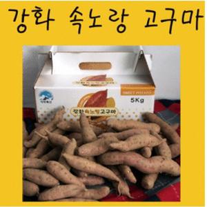 햇고구마/강화특산물 속노랑 호박고구마 중사이즈 (200~300g) 5kg