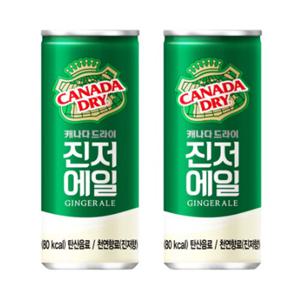 코카콜라 캐나다드라이 진저에일 250mL 60캔