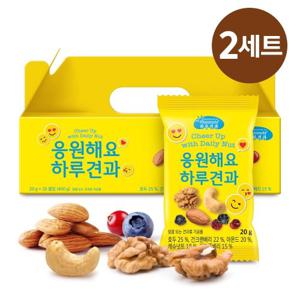 [하루견과] 응원해요하루견과 20입x2세트 (총40봉) /블루베리&견과류