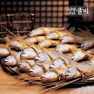 [영광법성포굴비] 가정용영광굴비 1.4kg*1두룹(20마리) (선물포장X)