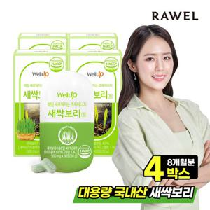 로엘 웰업 새싹보리정 스피루리나 4통(8개월분), 500mg x 60정