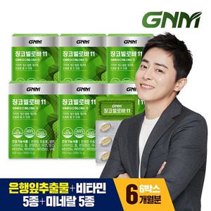 GNM 징코빌로바11 6박스 / 은행잎추출물 비타민B 아연 판토텐산