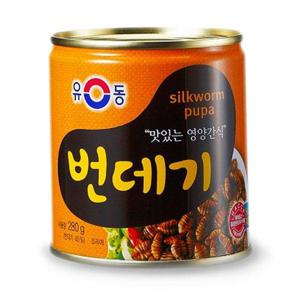 갤러리아_유동 번데기 280g x10캔