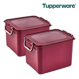 [Tupperware] 타파웨어 시그니처 김치 키퍼 10L(H)높은형x2개