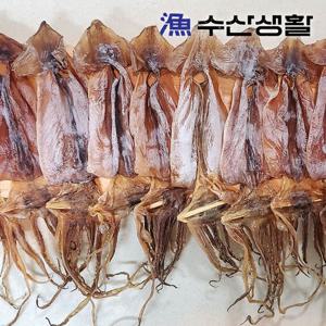 [수산생활] 쫄쫄이 오징어 400g (9~10미) 중량우선