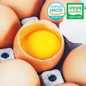 [HACCP] 농장직송 웰굿 신선 계란 60구(30구x2판,대란)