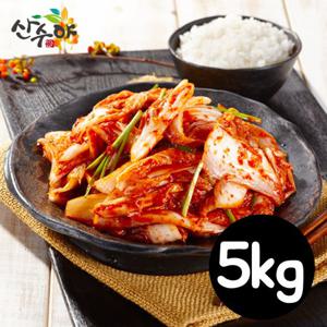 산수야 겉절이 5kg