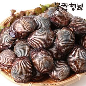 산지직송 피꼬막 (상품) 2kg 제철 별미 피조개