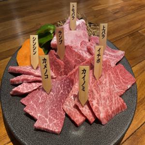 도쿄 신주쿠 | 야키니쿠 Yakiniku Ikokka(焼肉 Icocca)| 좌석 예약 전용