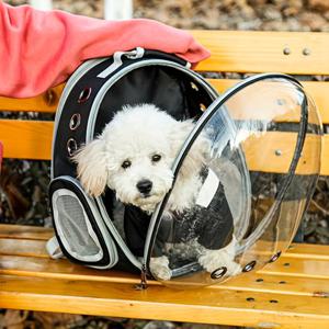 TEMU 애완 동물 통기성 고양이 배낭 캐리어 우주 캡슐 작은 개 고양이를 위한 애완 동물 캐리어