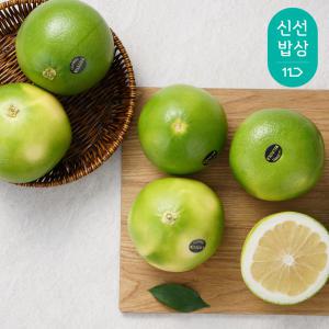 [품질보장]새콤달콤 메로골드(청자몽) 7~10입(3kg 내외)