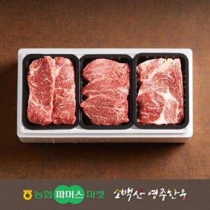 [농협영주한우]실속가족3종구이세트1호(등심/안심/채끝) / 1.2kg