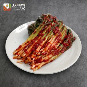 새벽팜 수입 파김치 중국산김치 대용량 도매 업소용