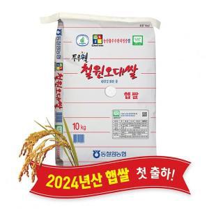 [강원마트](강원S)(당일도정) 2024년산 동철원농협 철원오대쌀 10kg, 햅쌀