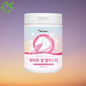 저분자콜라겐 히알루론산 모로실 화이트토마토 말 엘라스틴 120g