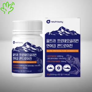 관절 글루코사민 구절초 보스웰리아 유향 연어코연골 상어연골 콘드로이친 500mg 60정