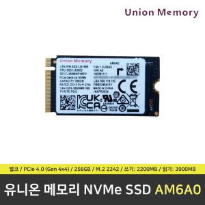 UNION_MEMORY AM6A0 M.2 NVMe SSD 256GB 벌크