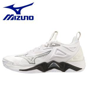 MIZUNO 미즈노 웨이브 모멘텀 3 남여공용 배드민턴화 스쿼시화 배구화 V1GA23125