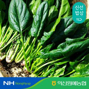 [익산원예농협] 국산 시금치 특 1kg 2kg 농협선별