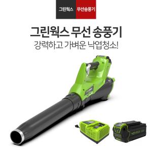 그린웍스 40V 충전 액시얼 엑시얼 브로워 송풍기 조용한 제설 낙엽 청소 블로워 5Ah 배터리 1개 세트