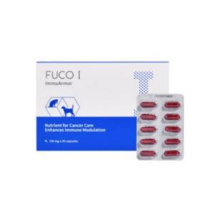 [종양치료/항암]후코 I (후코아이 FUCO I 750mg 고용량 30캡슐)