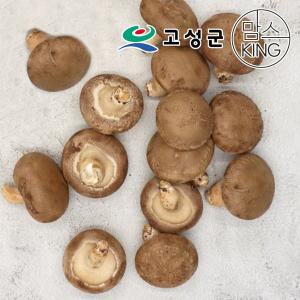 [공룡나라]고성 웅이표고농장 생표고버섯(생표고/파지1kg)